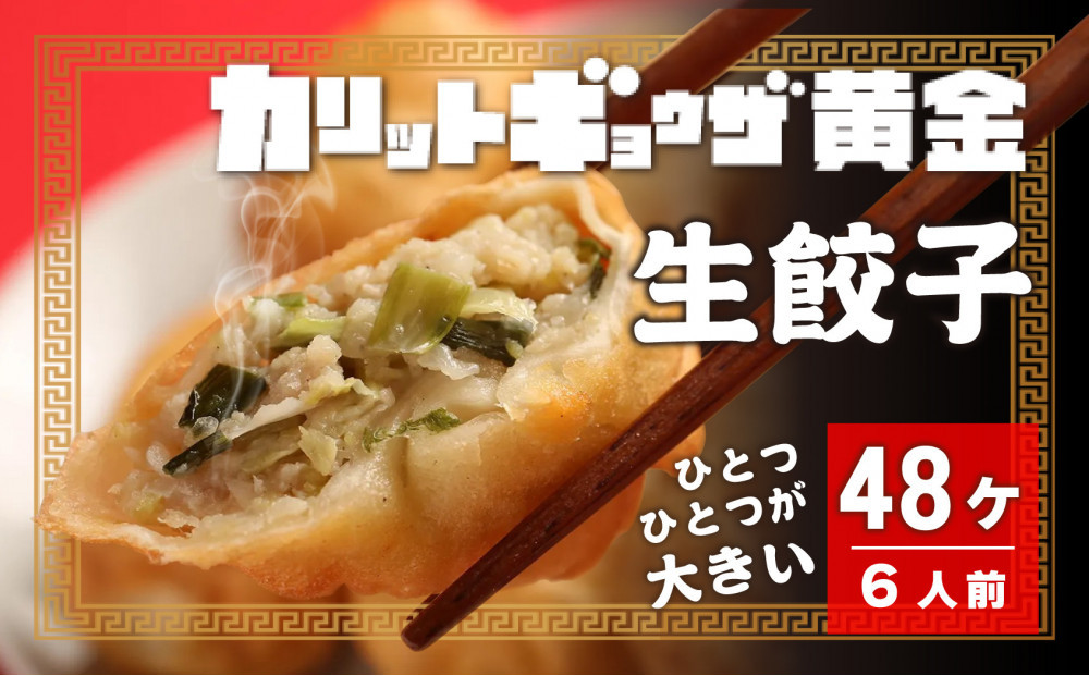 カリットギョウザ 生餃子48ケ【6人前】ジューシー ひとつひとつが大きい