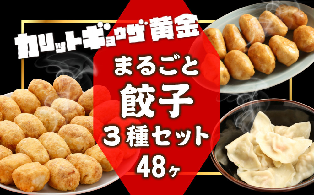 カリットギョウザ まるごとセット３種（48ケ）餃子 水餃子 スマイル餃子