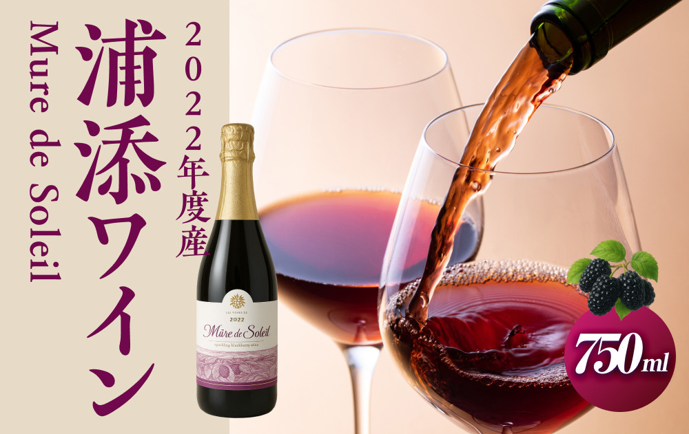 【数量限定】2022年度産 浦添ワイン Mure de Soleil（ミュール・ドゥ・ソレイユ）|沖縄県　浦添市　お酒 ワイン ロゼワイン 赤ワイン 白ワイン 飲み比べセット 人気 ギフト フルーティー プレゼント