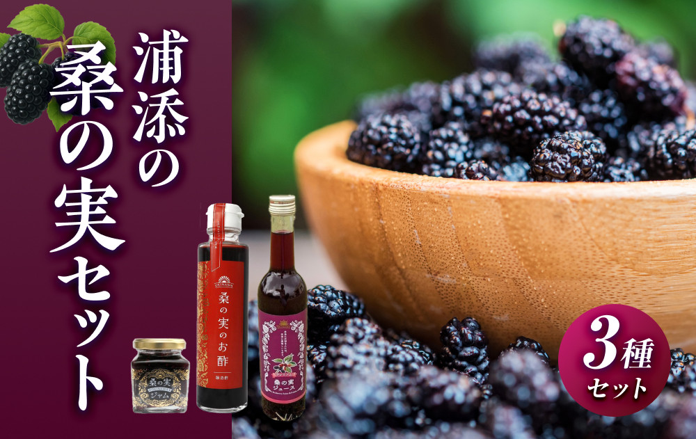 浦添の桑の実セット|沖縄県　浦添市　果物類&nbsp;桑の実&nbsp;セット&nbsp;食品&nbsp;人気&nbsp;フルーツ&nbsp;くだもの&nbsp;沖縄&nbsp;美健&nbsp;桑の実セット&nbsp;健康&nbsp;美容