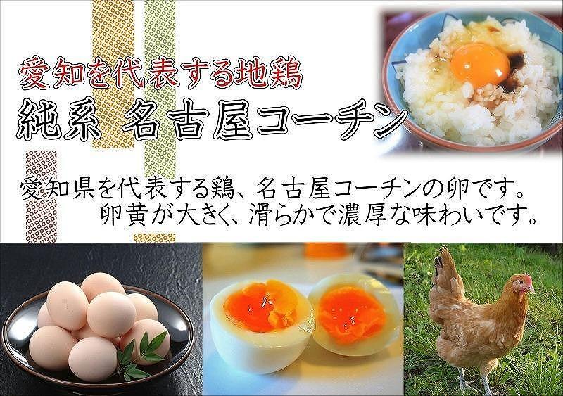 日本三大地鶏!! 「純系 名古屋コーチンの卵」（30個）　本当に美味しい食べ物は調味料の味に負けません！
