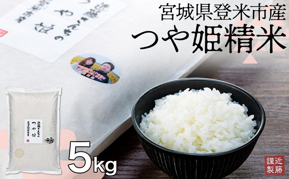 【定期便】宮城県登米市産つや姫精米5kg×6回