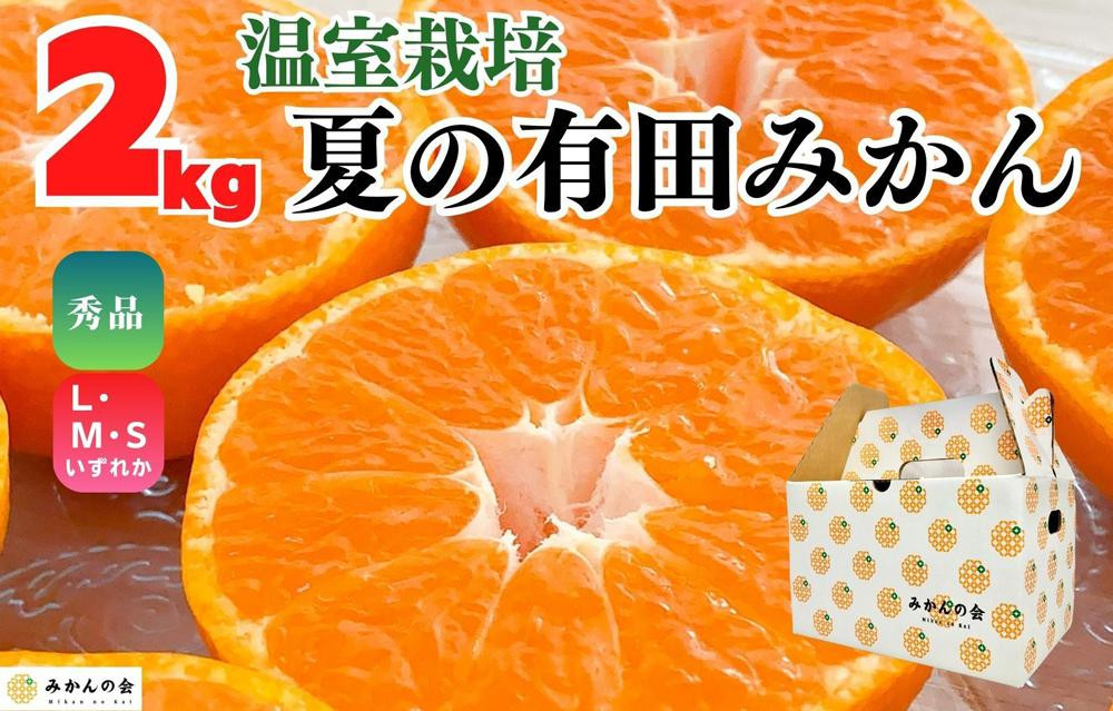 【5月出荷予定】ハウスみかん&nbsp;温室栽培&nbsp;夏の有田みかん&nbsp;2kg&nbsp;秀品&nbsp;S・M・Lサイズのいずれか&nbsp;&nbsp;和歌山県&nbsp;産地直送&nbsp;みかんの会