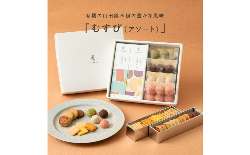 【グルテンフリー＆ヴィーガン】山田錦&nbsp;ギフト&nbsp;むすび&nbsp;[&nbsp;アソート&nbsp;/&nbsp;全64個入&nbsp;]