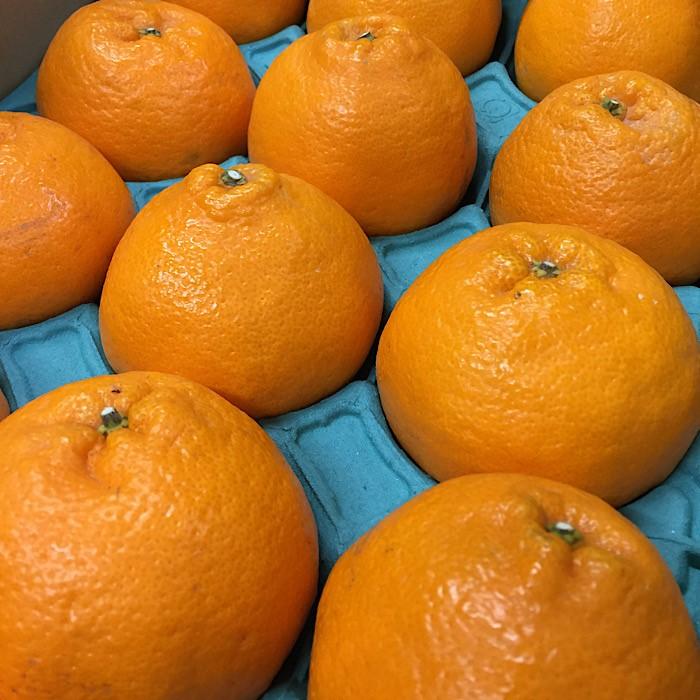 和歌山産&nbsp;不知火［12玉～24玉］秀品［US63］