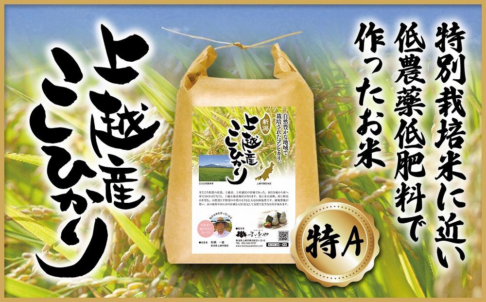 ふるさと納税 上越市 特別栽培米上越産コシヒカリ5kg全6回 :4006735