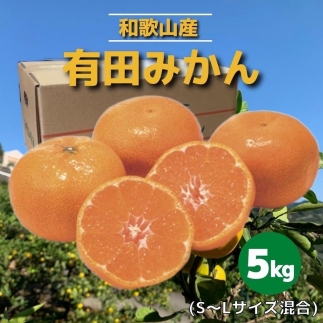 和歌山県産 有田みかん 5kg 秀品 【US61】