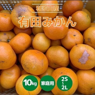 和歌山県産 有田みかん 10kg 家庭用 【US57】