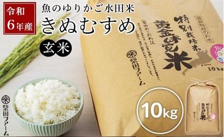 【先行受付 数量限定】令和6年産（新米）滋賀県認証！ 魚のゆりかご水田米 「きぬむすめ」玄米 10kg【柴田ファーム】｜お米 玄米 米 きぬむすめ こめ コメ ごはん 5キロ 10キロ 彦根 ひこね 滋賀 コメ ご飯 10kg お米 玄米 米 おすすめ 5kg×2 おこめ お米 玄米 キヌムスメ 米 お米 10kg お米 きぬむすめ 玄米 お米 おこめ 近江米