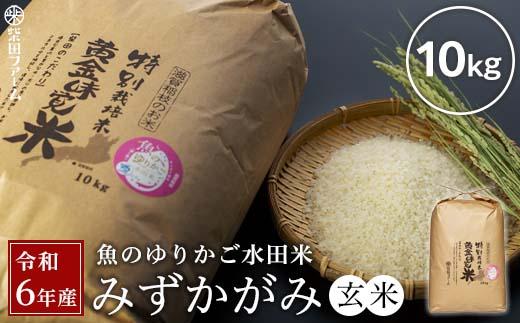 【数量限定】令和6年産（新米）滋賀県認証！魚のゆりかご水田米「みずかがみ」玄米10kg【柴田ファーム】｜お米 玄米 近江米 米 みずかかみ こめ コメ 10キロ 彦根 ひこね 滋賀 コメ 10kg お米 玄米 米 おすすめ おこめ お米 玄米 みずかがみ 米 お米 玄米 10kg お米 10kg 玄米 お米 おこめ 近江米