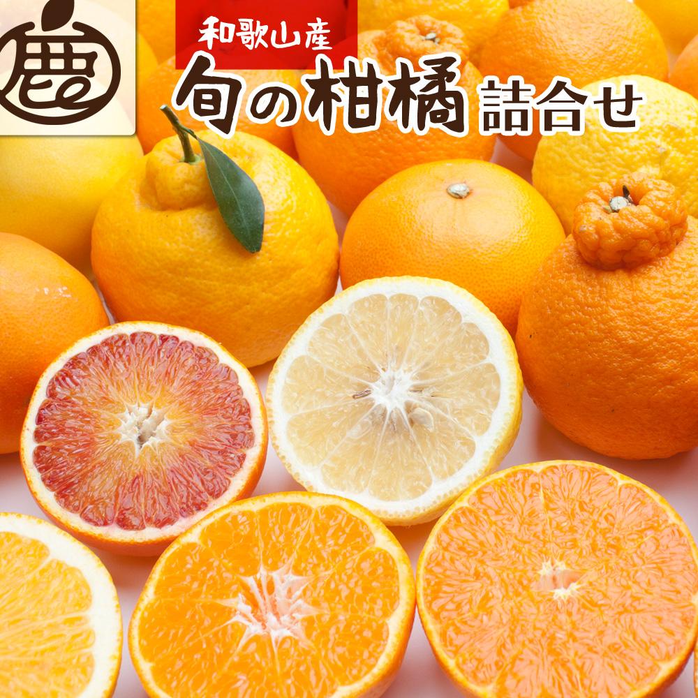 ＜1月より発送＞厳選 柑橘詰合せ3kg+90g（傷み補償分）【有田の春みかん詰め合わせ・フルーツ詰め合せ・オレンジつめあわせ】【光センサー選別】