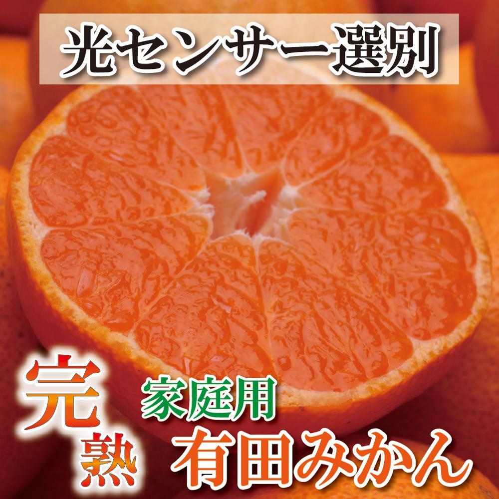 家庭用 完熟有田みかん 10kg+300g（傷み補償分）訳あり＜11月より発送＞