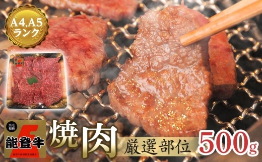 【復興支援】【A4・A5】能登牛 焼肉用厳選部位 500g