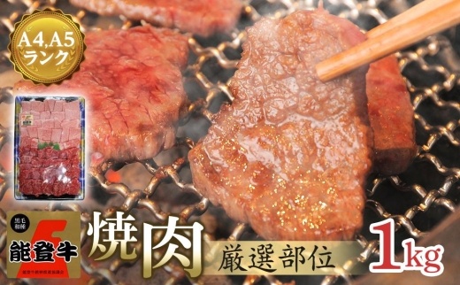 【復興支援】【A4・A5能登牛】焼肉用厳選部位 1kg