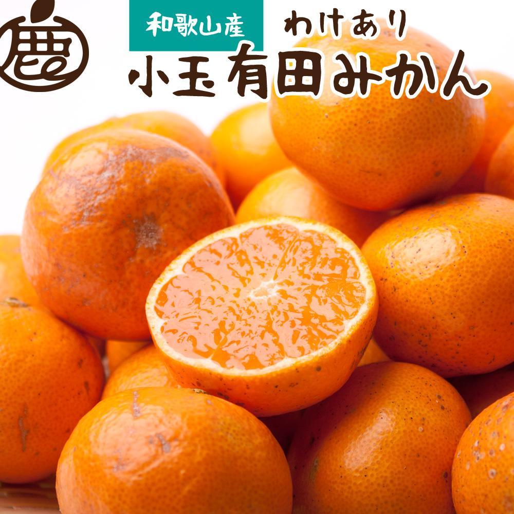 家庭用　小玉な有田みかん3kg+90g（傷み補償分）【わけあり・訳あり】【光センサー選果】＜11月より発送＞