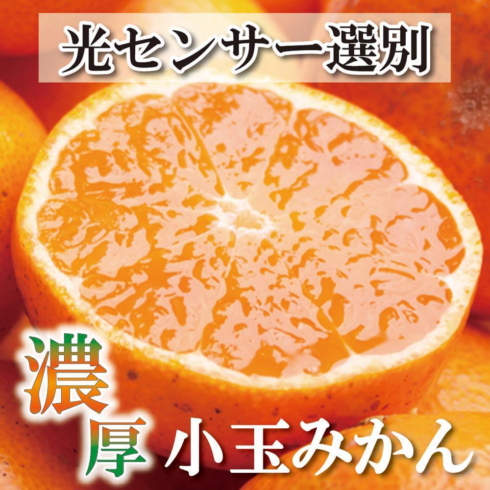 ＜11月より発送＞家庭用 小玉な有田みかん4.5kg+135g（傷み補償分）訳あり