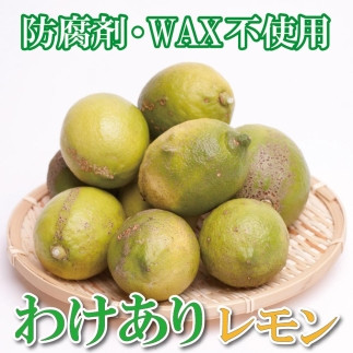 家庭用&nbsp;レモン2.5kg+250g（傷み補償分）【和歌山有田産】【防腐剤・WAX不使用、安心の国産レモン】【わけあり・訳ありレモン】&nbsp;［IKE124］