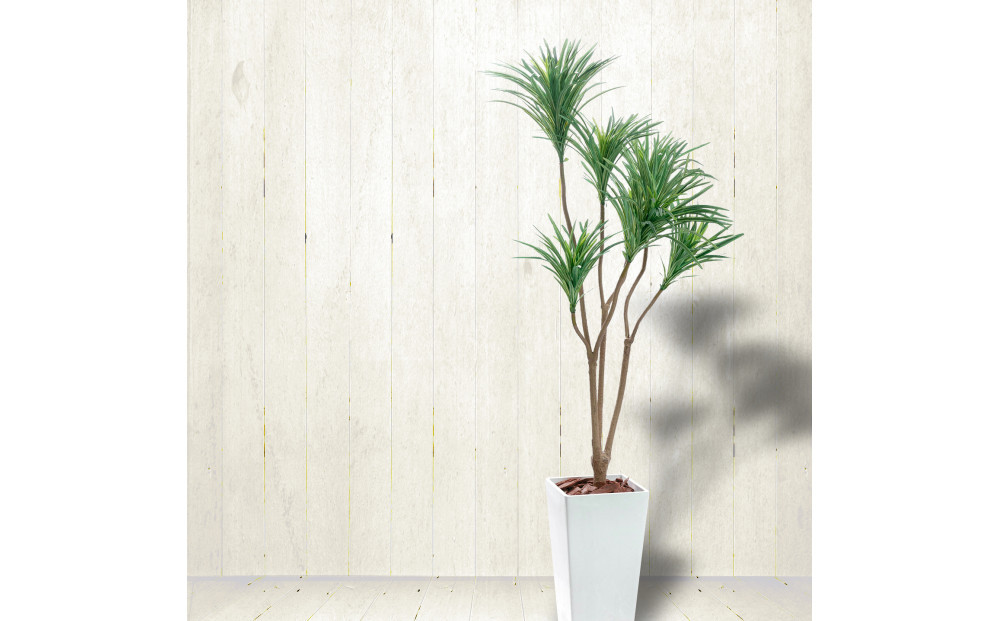人工観葉植物　青年の樹ユッカ７本枝　白樹脂鉢Lサイズ付