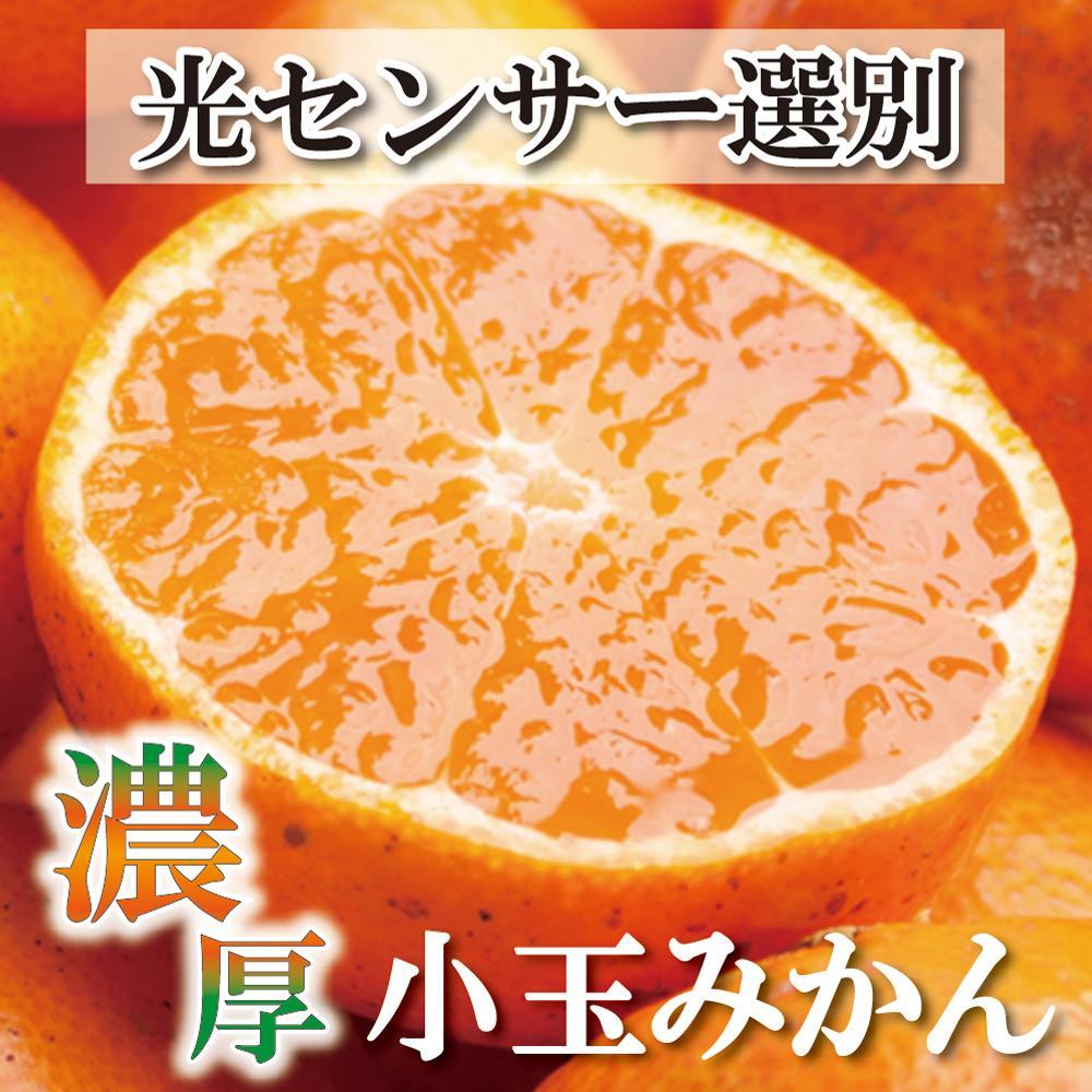 家庭用 小玉な有田みかん 4.5kg+135g（傷み補償分）訳あり＜11月より発送＞