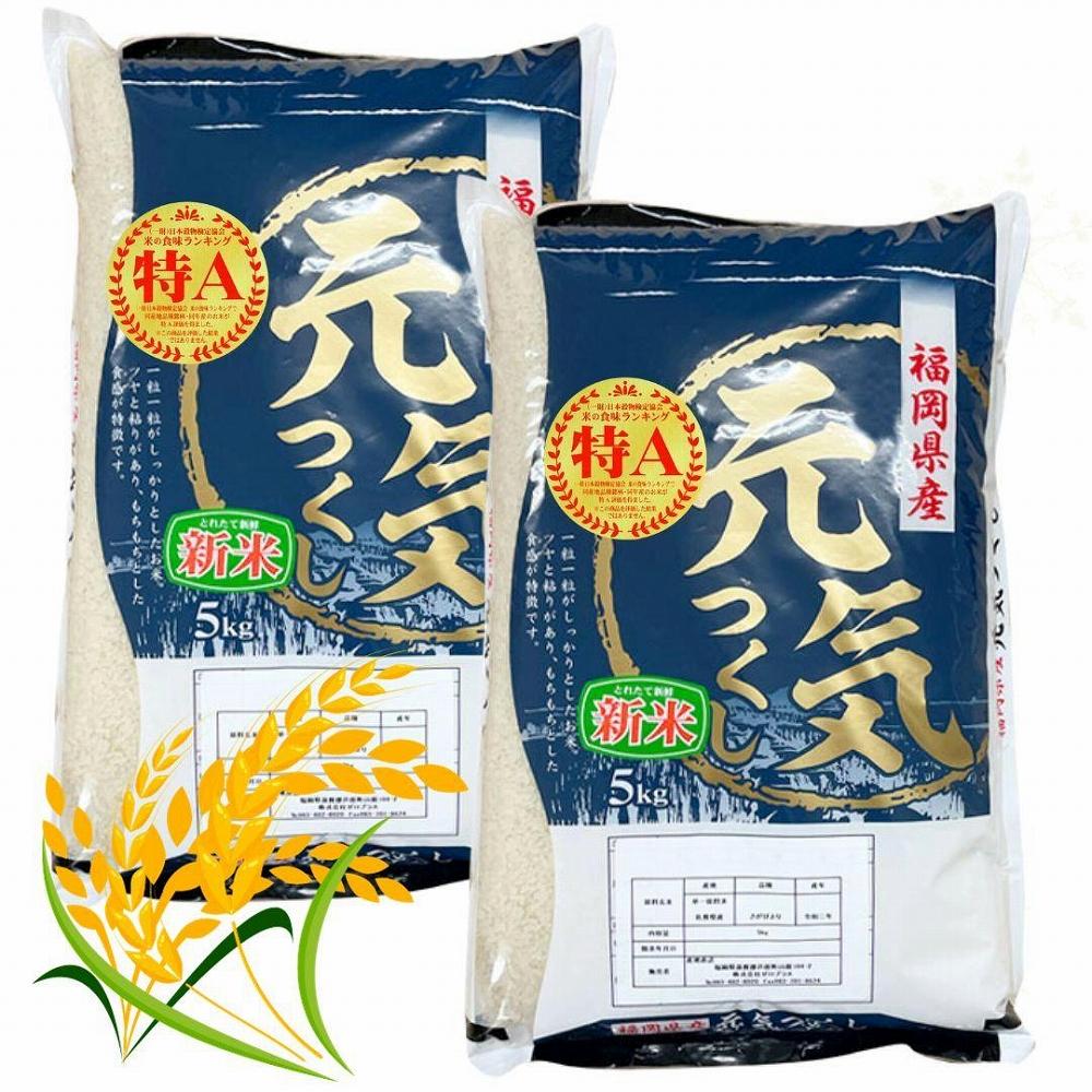 【令和7年産】福岡県産ブランド米「元気つくし」白米&nbsp;10kg