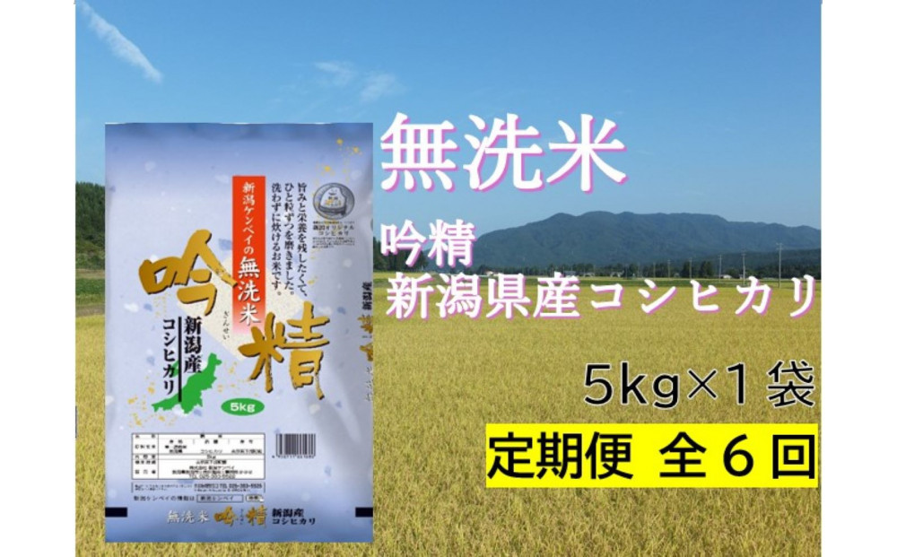 【定期便：全6回お届け】【無洗米吟精】　新潟県産コシヒカリ5Kg