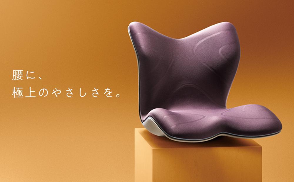 健康用品 MTG Style PREMIUM スタイルプレミアム 骨盤サポートチェア