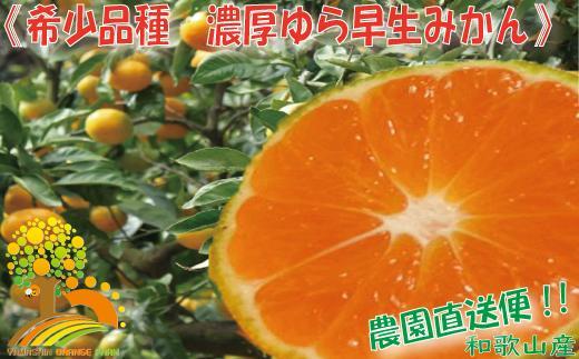 濃厚な味わい ゆら早生みかん約5kg 希少品種《有機質肥料100％》【2024年10月より順次発送】