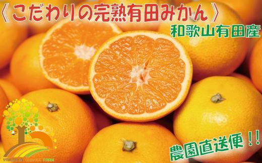 ＼農家直送／こだわりの有田みかん 約8kg【2024年11月より順次発送】