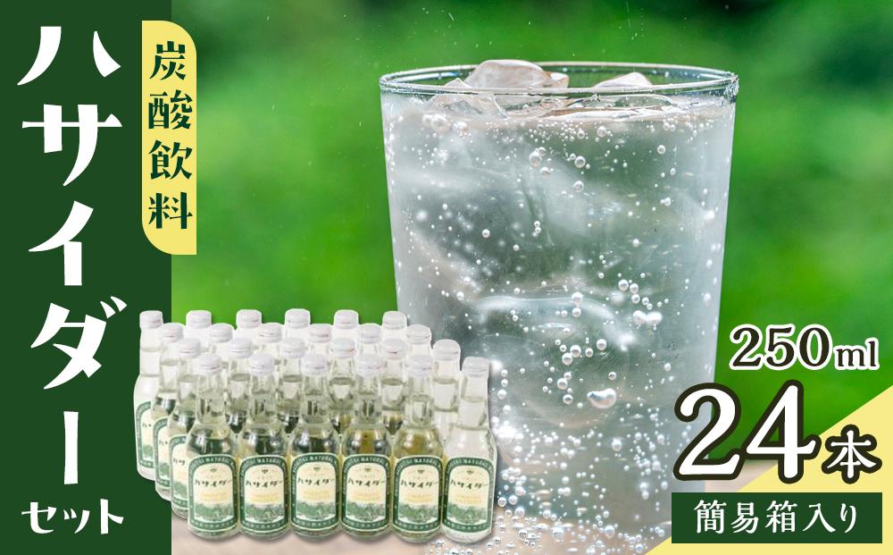 炭酸飲料 サイダー セット 24本 × 250ml ハサイダー