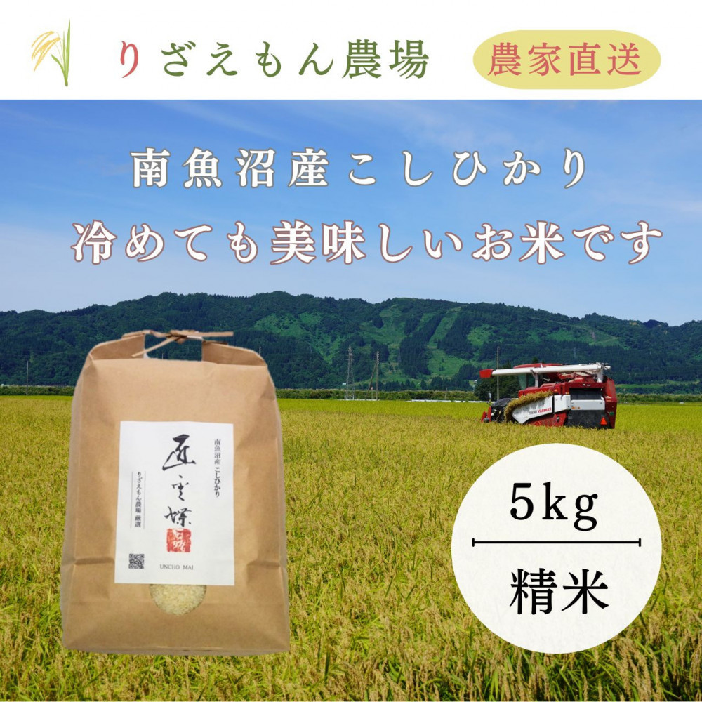 白米5kg&nbsp;&nbsp;令和７年産　南魚沼産こしひかり　魚野川流域　匠&nbsp;雲蝶(たくみ　うんちょう）&nbsp;＼生産農家直送／
