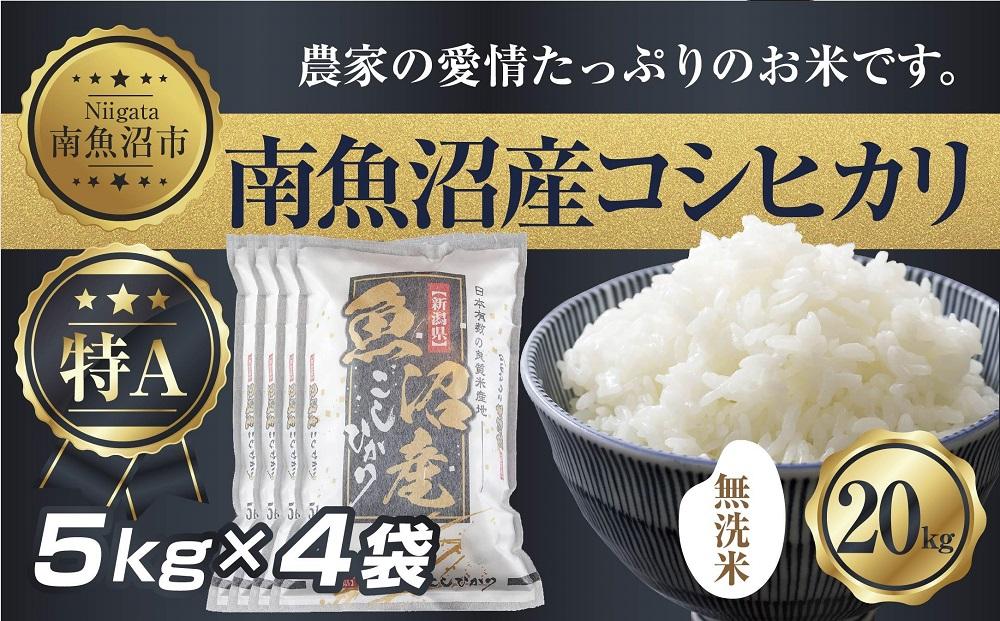 お米 20キロ コシヒカリ 精米 白米 - 米・雑穀・粉類