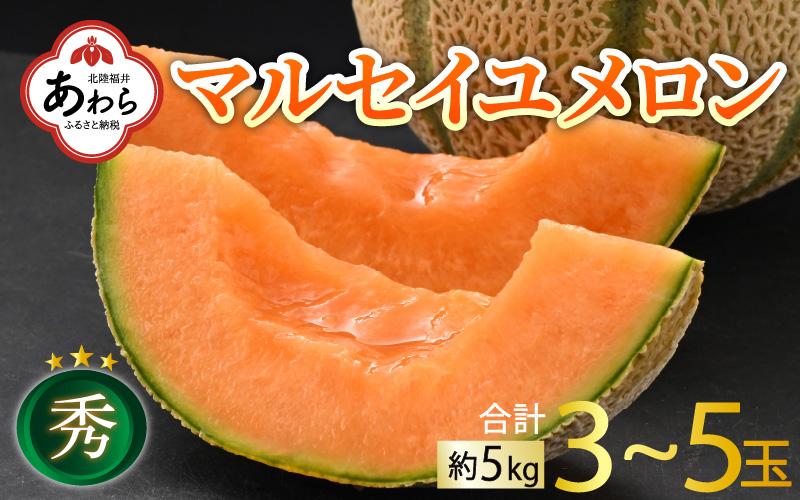 【先行予約】佐藤農園のマルセイユメロン 約5kg 秀品（3～5玉入）深みのある甘さ とろける濃厚な赤肉！農家直送 有機肥料 低農薬 ※2025年6月発送上旬より順次発送予定