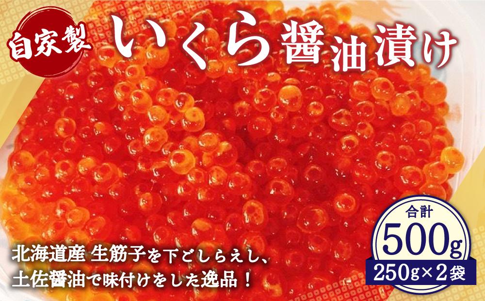 自家製 いくら ?油漬け 500g