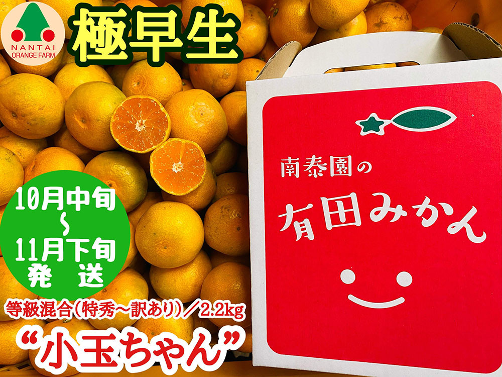 極早生&nbsp;有田&nbsp;みかん&nbsp;小玉ちゃん&nbsp;等級&nbsp;混合&nbsp;2.2kg&nbsp;南泰園&nbsp;和歌山&nbsp;有田みかん