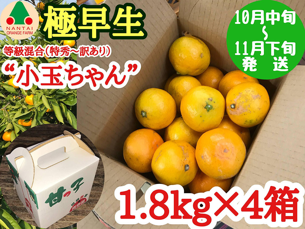 極早生&nbsp;有田&nbsp;みかん&nbsp;小玉ちゃん&nbsp;等級&nbsp;混合&nbsp;1.8kg&nbsp;×&nbsp;4箱&nbsp;南泰園&nbsp;和歌山&nbsp;有田みかん