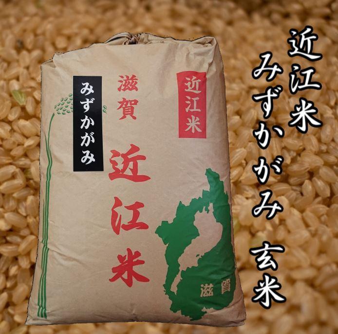 令和4年産新米 近江米みずかがみ30kg【玄米】 米粉200g付き【ポイント交換専用】