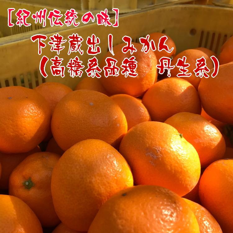 【 紀州 伝統 の 味 】 下津 蔵出し みかん （ 高糖系 品種 丹生系 ） 5kg  【Ｓ～Ｌ混合サイズ】【先行予約】