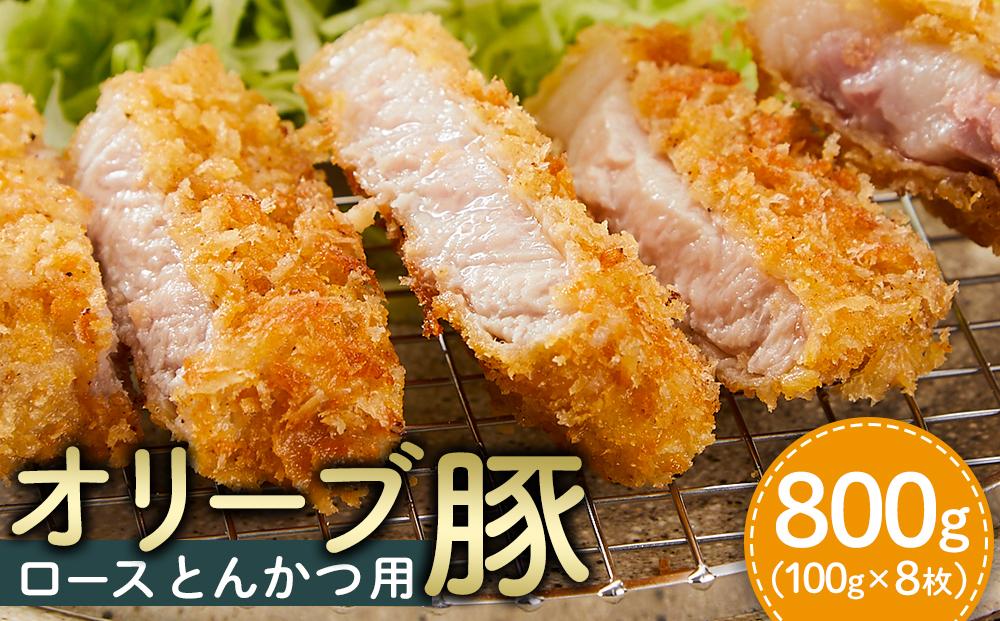 【ギフト用】豚肉 オリーブ豚 ロースとんかつ用 800g（100g×8枚）【化粧箱入り】【配送不可：離島】