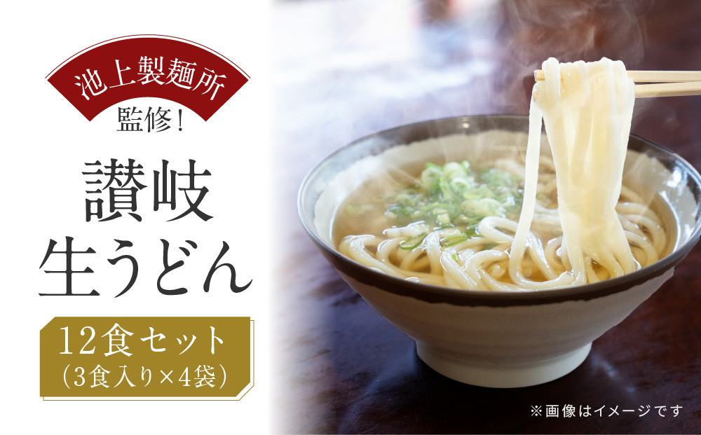 讃岐生うどん12食入（1袋3食入×4袋）＊鎌田醤油だし醤油付＊  池上製麺所監修！｜うどん 生麺
