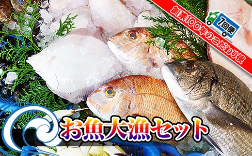 【定期便7回】創業100年の魚屋さんが選び抜いた旨い鮮魚直送便～