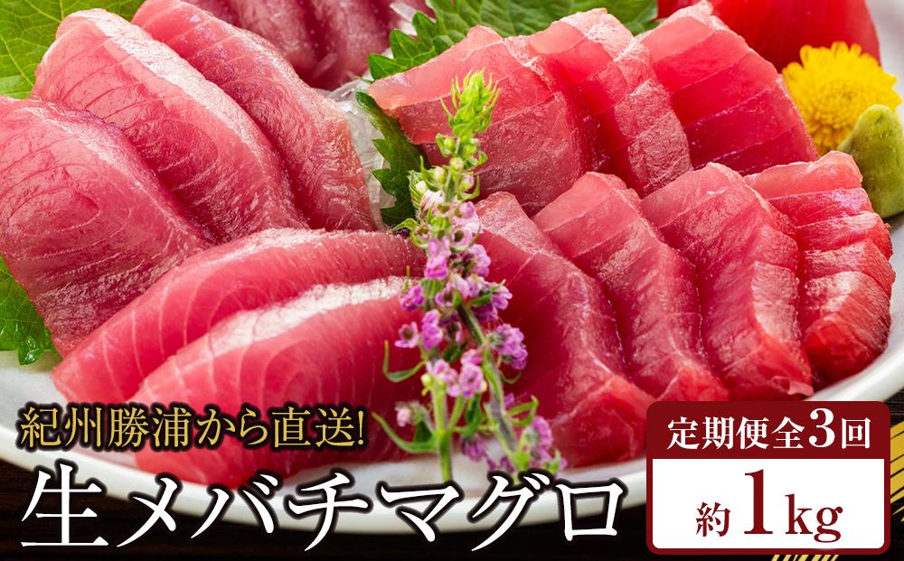 【定期便全3回】生まぐろの本場紀州勝浦から直送！　生メバチマグロ 約1kg（1カ月に1回お届け）（全3ヵ月）