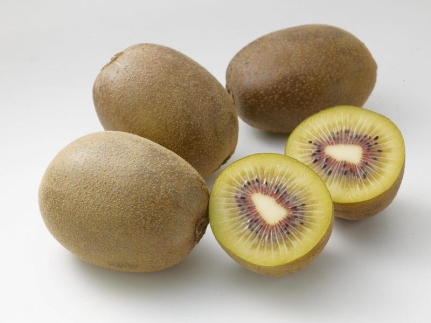 さぬきエンジェルスイートキウイ&nbsp;約2.1kg｜フルーツ&nbsp;果物&nbsp;くだもの&nbsp;キュウイ&nbsp;食品&nbsp;さぬき&nbsp;坂出市&nbsp;人気&nbsp;おすすめ&nbsp;送料無料