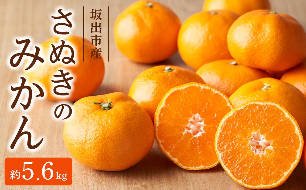 坂出市産「さぬきのみかん」&nbsp;約5.6kg（約2.8kg×2箱）
