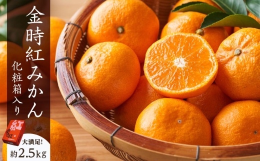 坂出市産&nbsp;金時紅みかん&nbsp;約2.5kg（21～30玉入り）&nbsp;化粧箱入り