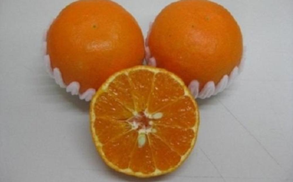 新品種柑橘「あすみ」小玉 約5kg JTBのふるさと納税サイト [ふるぽ]