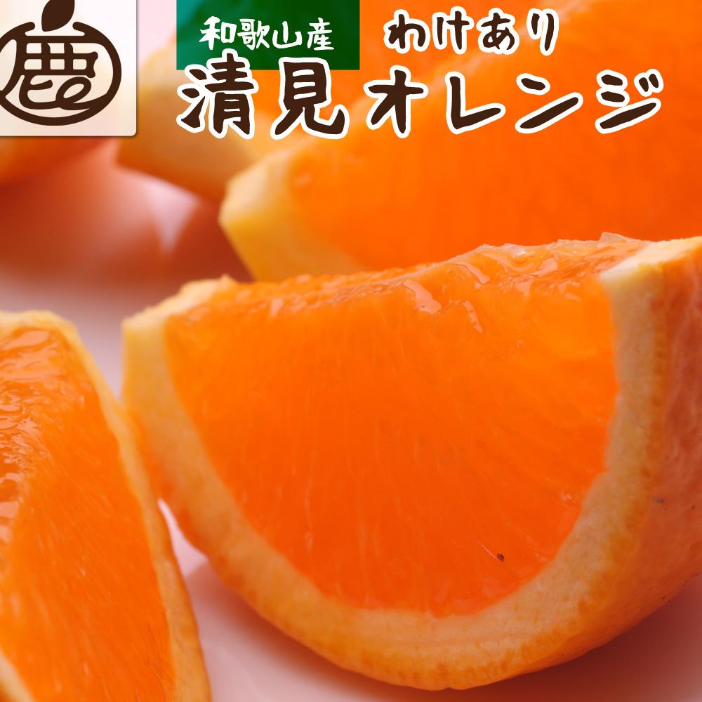 ＜2月より発送＞家庭用 清見オレンジ5kg+150g（傷み補償分）【光センサー食頃出荷】【わけあり・訳あり】