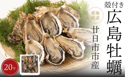 海からとれたての広島牡蠣を生産者直送(殻付かき20ヶ)