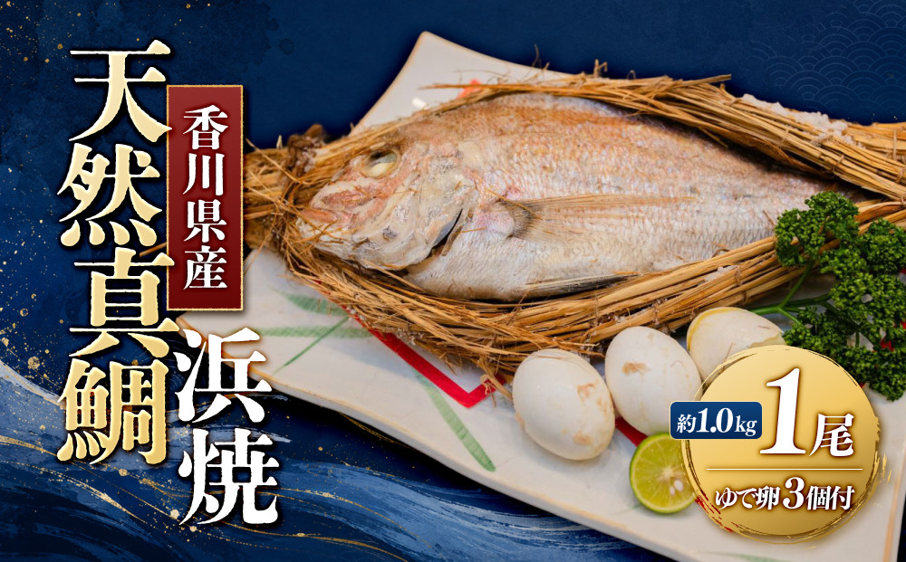 天然真鯛の浜焼　１尾（4～5人前）