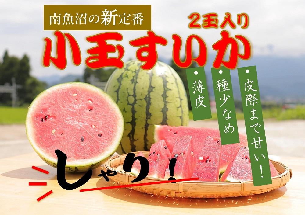 令和5年/小玉すいか予約】パリ！シャリ！甘～い！2玉入り【食べきり