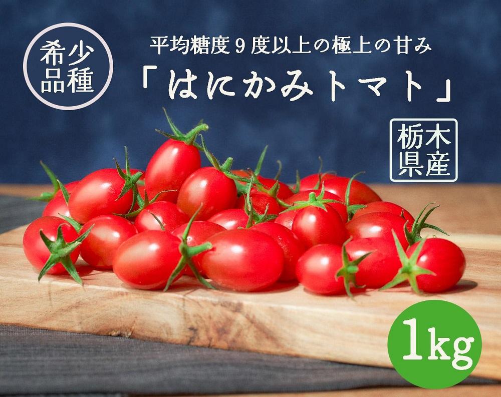大注目 幻のトマト 光1号 糖度9度以上 １kg箱 北海道産